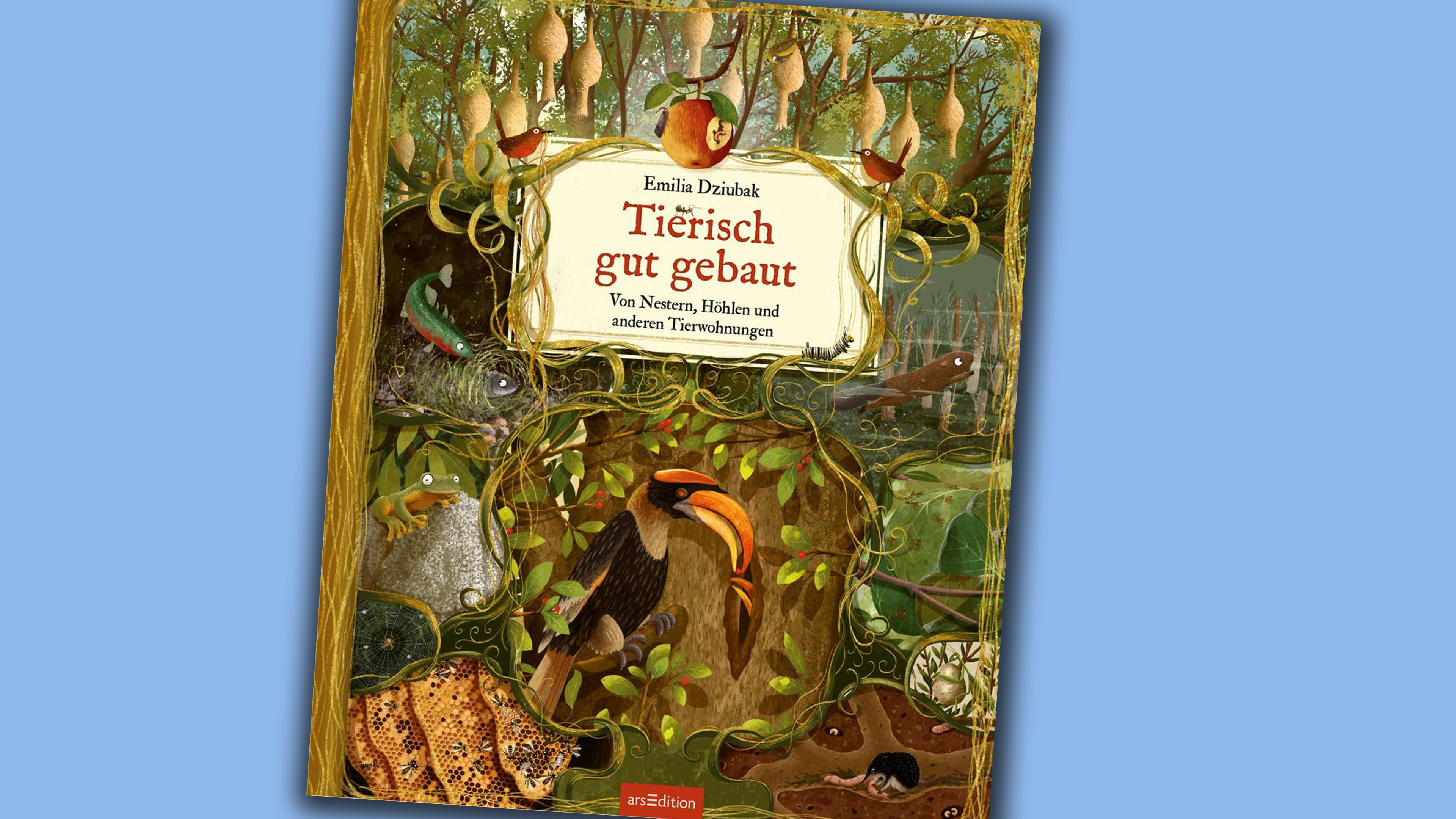 Buchcover 