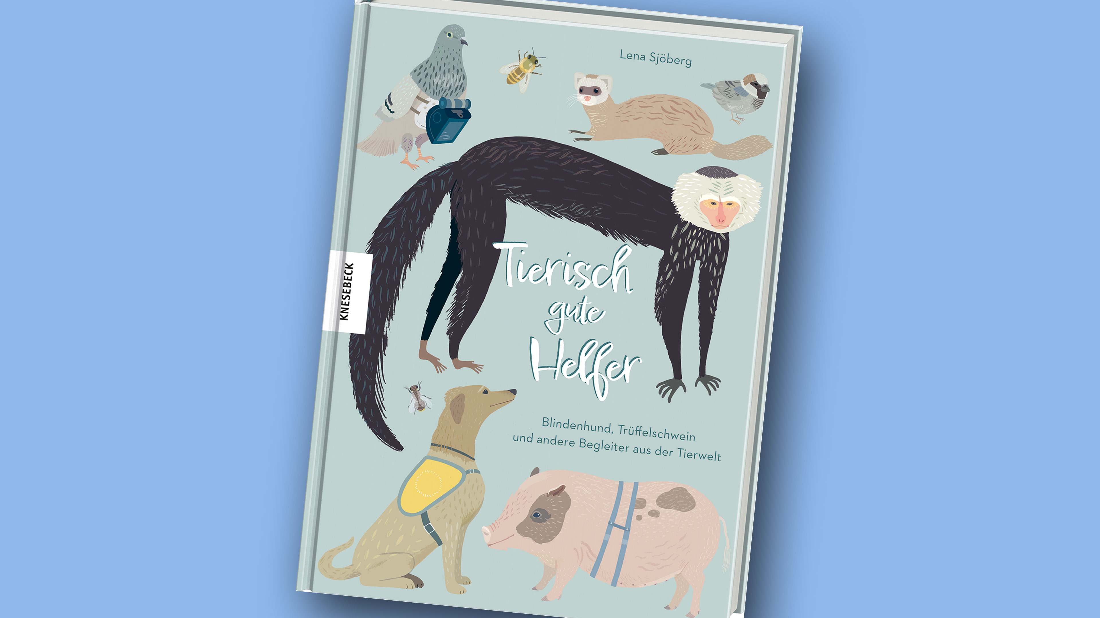 Buchcover auf dem ein Affe, ein Hund, eine Taube und eine Biene abgebildet sind