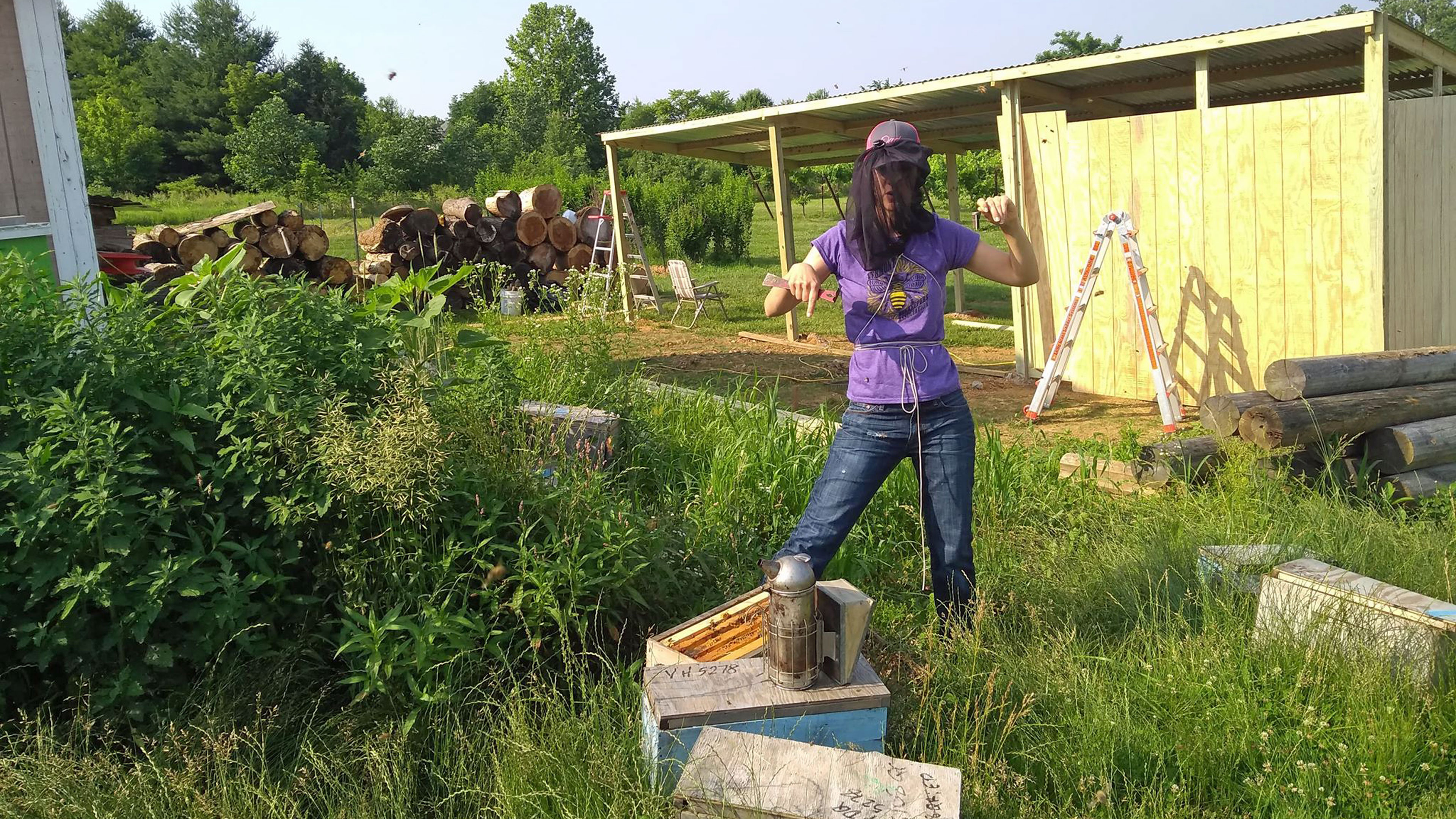 Eine Frau arbeitet als Imkerin mit Bienen.