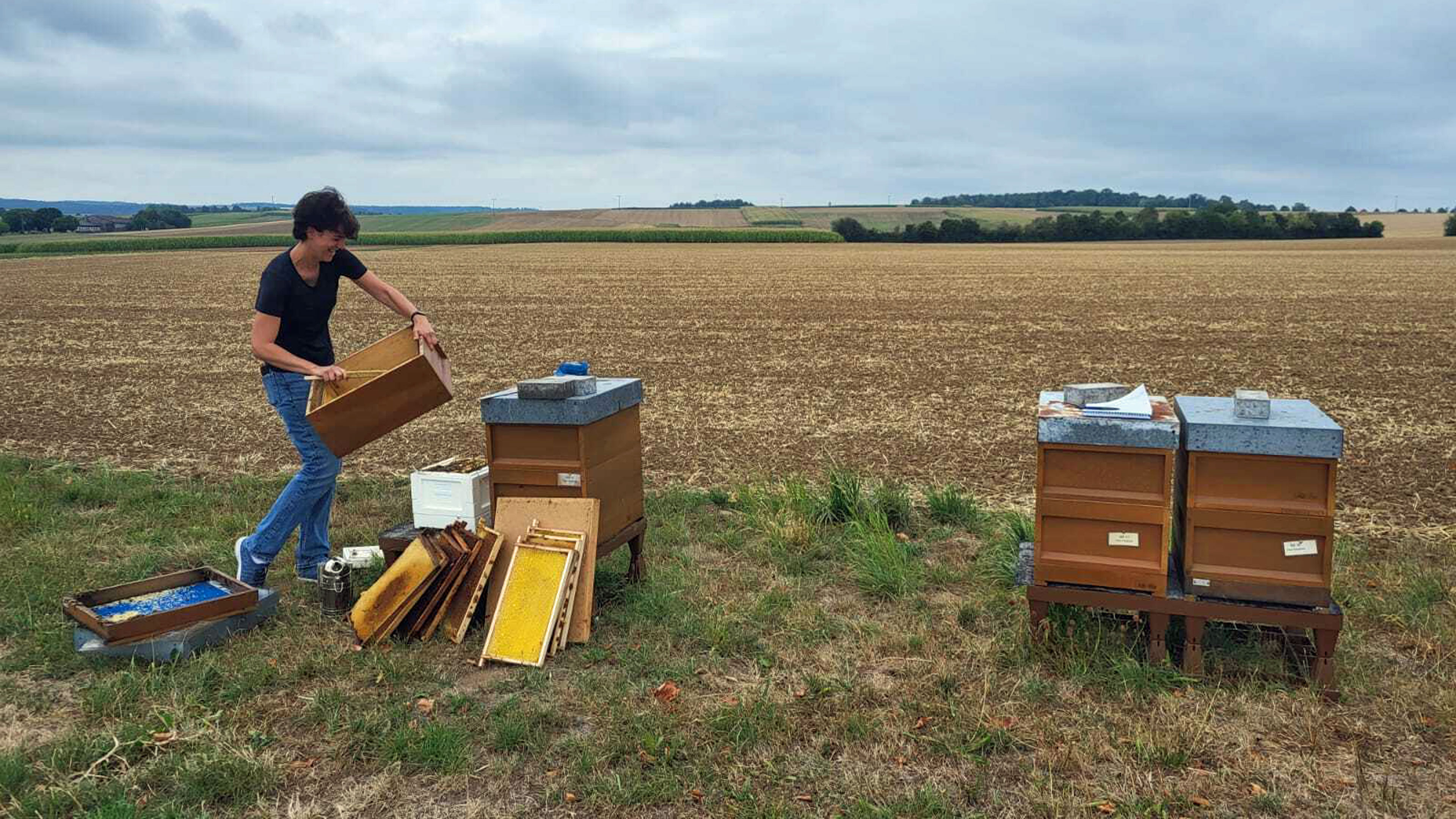 Eine Frau trägt Bienenstöcke auf ein Feld.