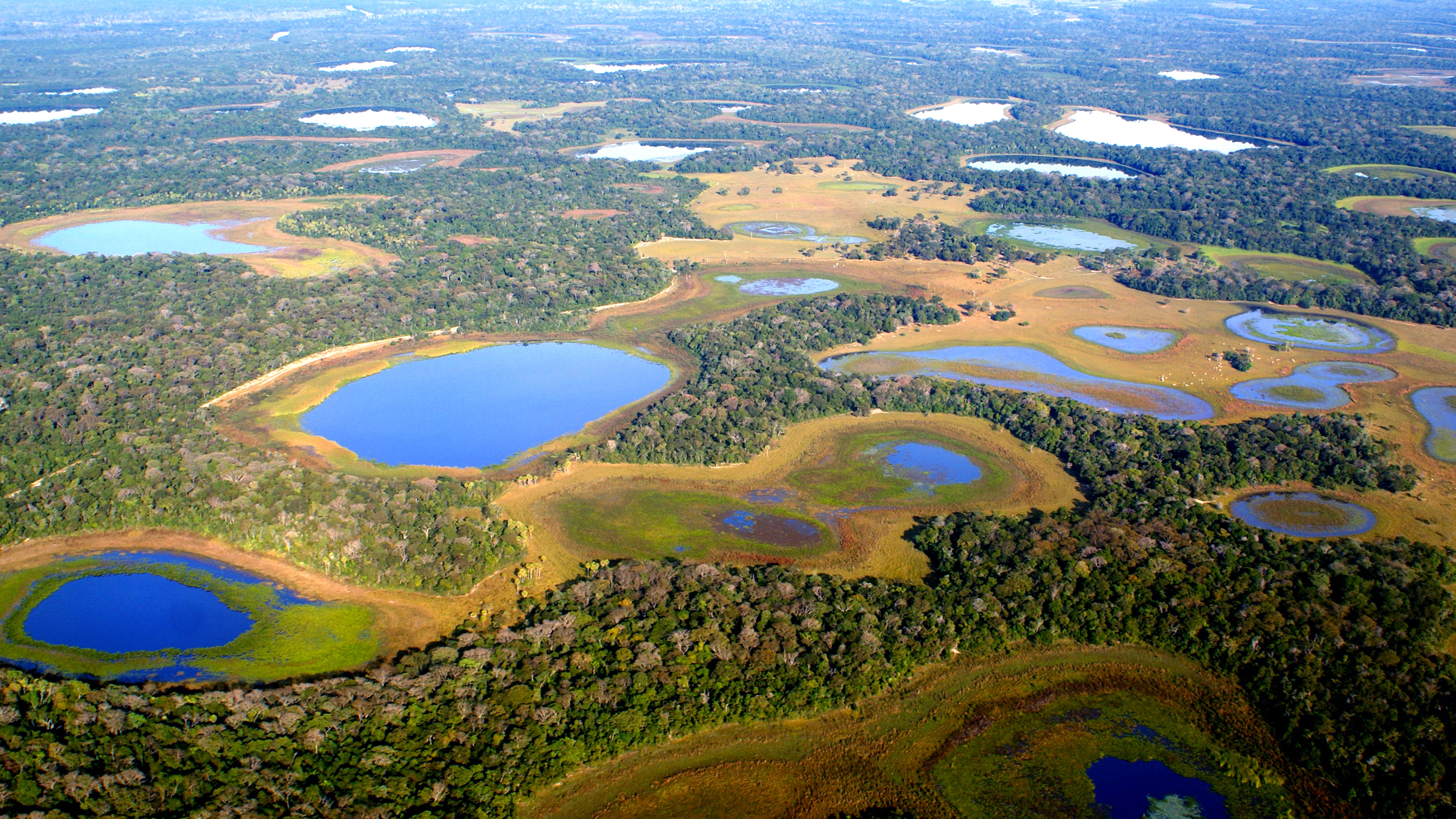 Das Pantanal