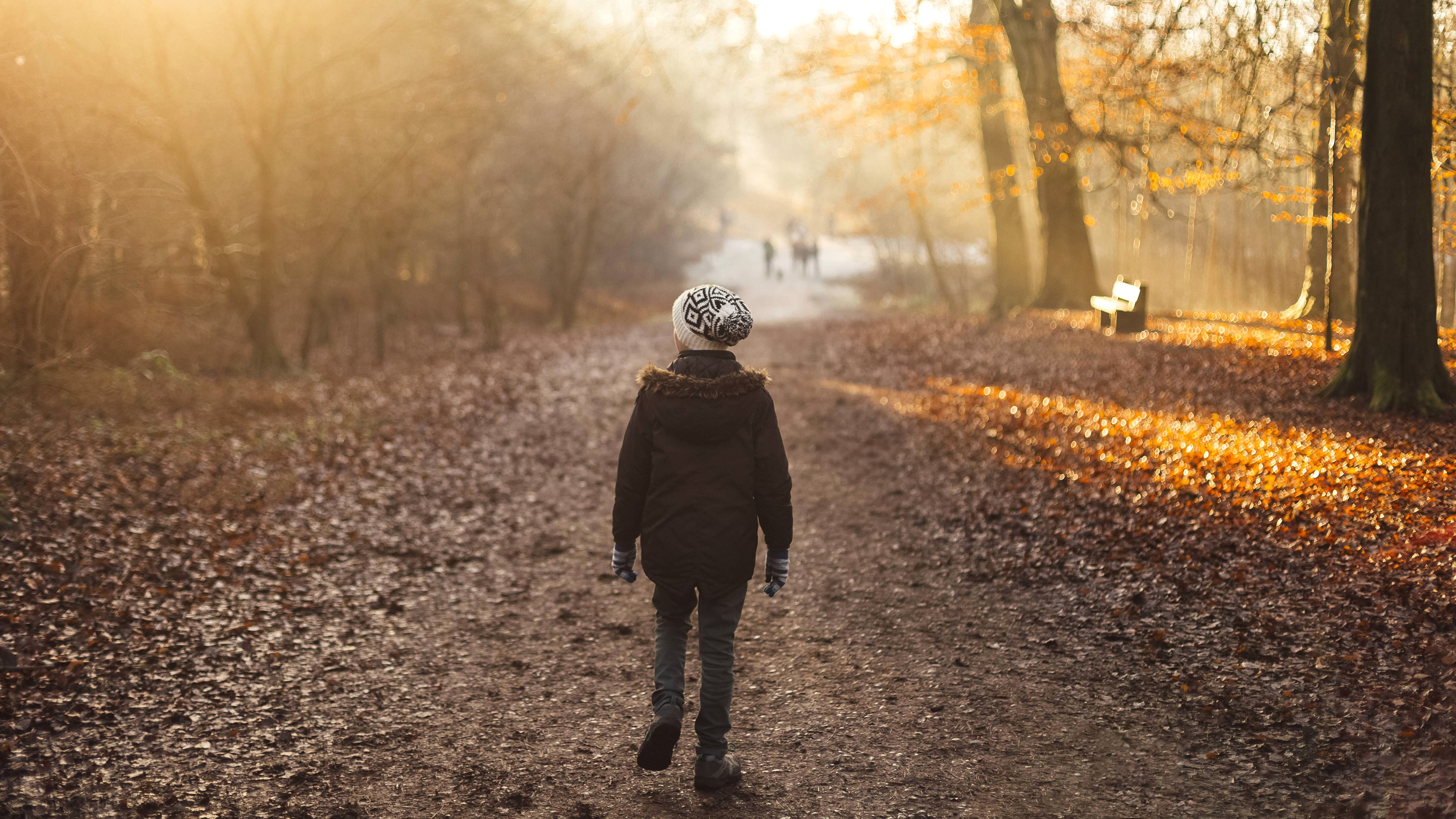 Junge geht winterlich angezogen einen sonnig-nebeligen Waldweg entlang