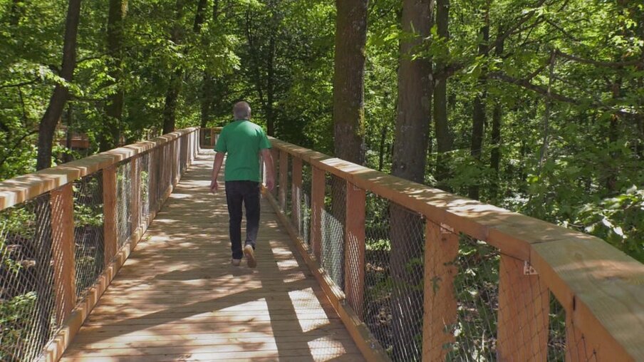 Christoph auf einem Holzpfad in einem Wald