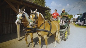 André fährt eine Kutsche mit zwei Pferden; Rechte: WDR