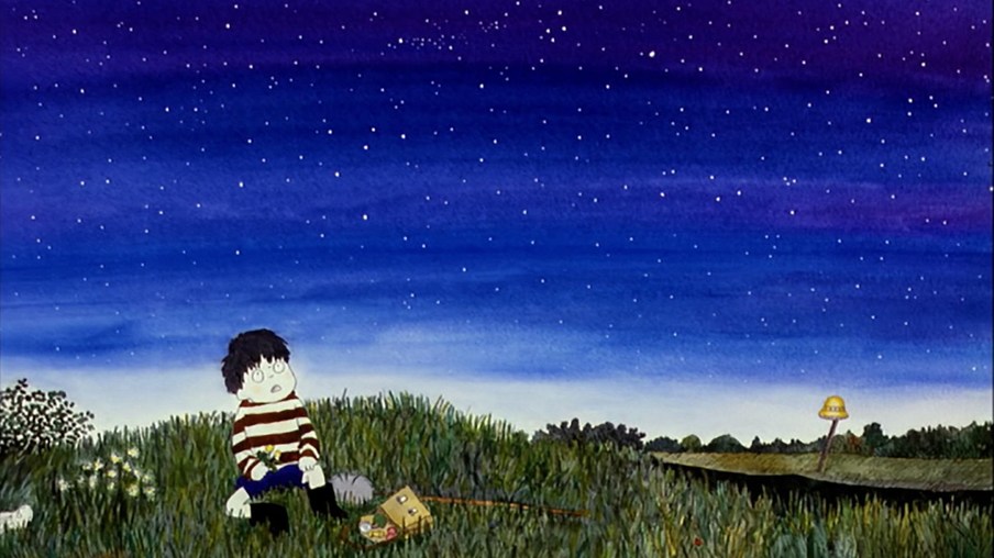 Ein Junge beobachtet einen Sternenhimmel