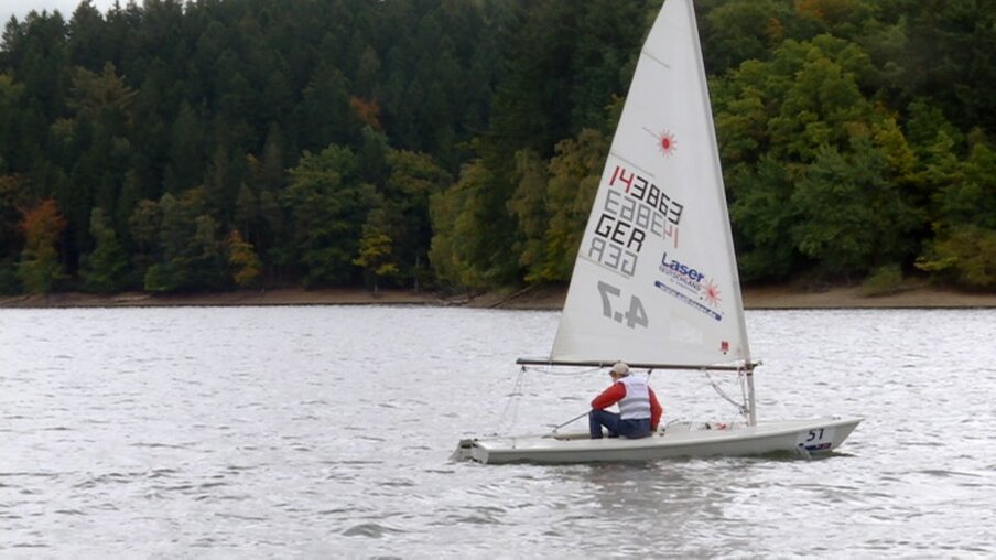 Segelboot auf einem See mit Wald