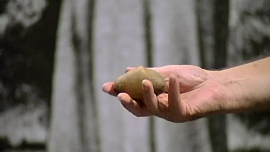 Eine Hand hält eine Kartoffel