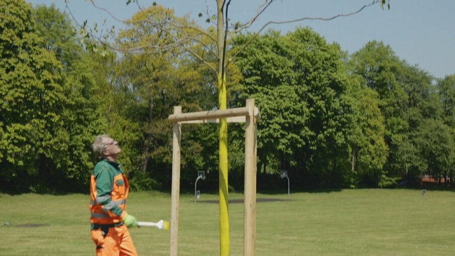 Ein Mitarbeiter der Stadt steht mit einem Farbpinsel vor einem jungen Baum