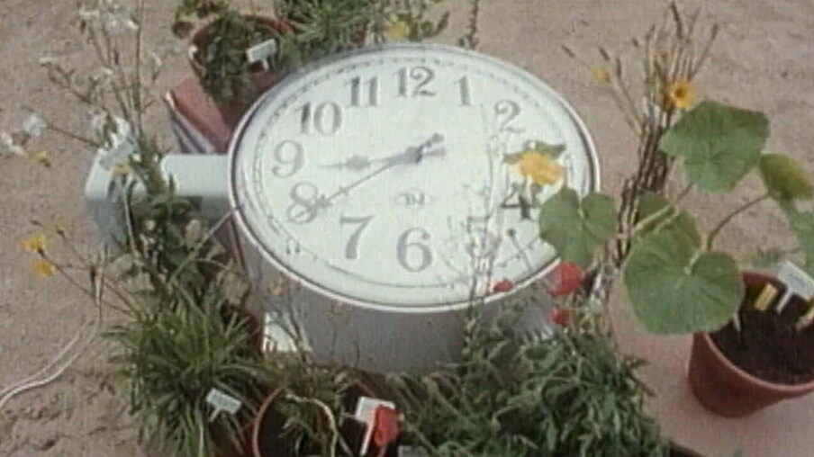 Eine Uhr zwischen Blumen