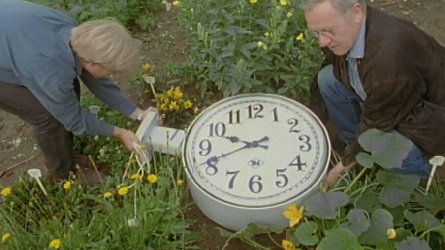 Armin plaziert eine Uhr zwischen Blumen