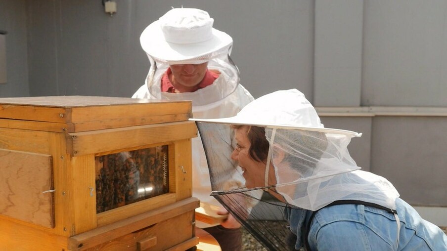 2 Imker mit weißem Hut und ein Bienenkasten