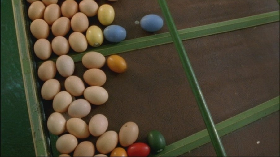 Die Eier werden nach der Größe sortiert.
