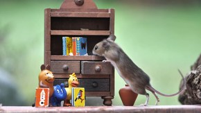 Küddel echte Maus; Rechte: WDR