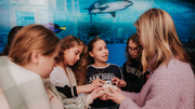 Tierpark und Fossilium Bochum