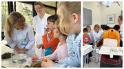 Zahnrettung in der Uniklinik Regensburg
